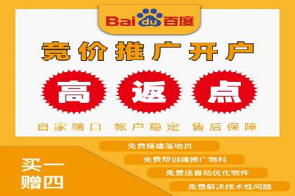 案例解析：sem竞价策略在电商平台的成功应用